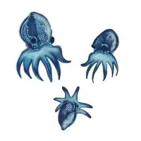 Squishy - design