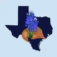 Texas Nap - design