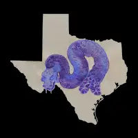 Texas Two-Step Viper - design