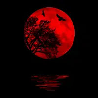 Crimson Reflection - design