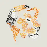 camouflage - design