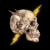 Flash - design