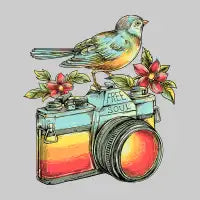 free soul - design