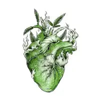 green heart - design