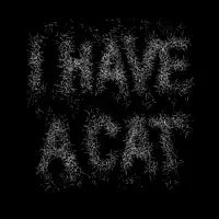 i have a cat - design