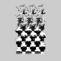 metamorphose - design