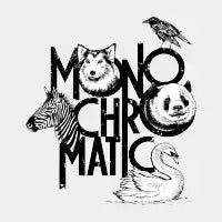 MONOCHROMATIC - design