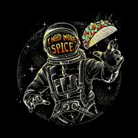 more spice - design