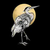 nocturnal - design