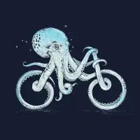 Octopus Bike - design