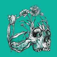 reborn - design
