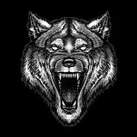 wolf - design