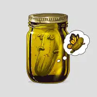 Pickle Metamorphosis - design