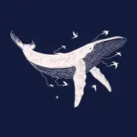 Boundless Flight - design