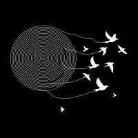 ECHOES OF THE SUN - design