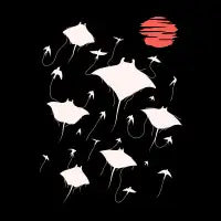 Flight of the Rays - design
