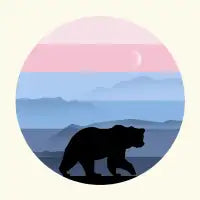 WINTER BEAR - design