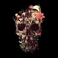 Bloom Skull - design
