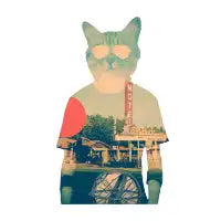 Cool Cat - design