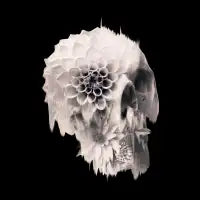 Decay Skull - design