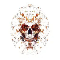 Delicate Skull - design