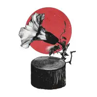 Gramophone - design
