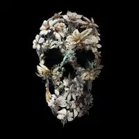 Harmony Skull - design