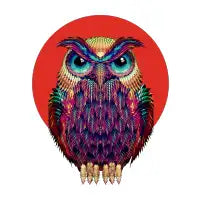 Owl 2 - design