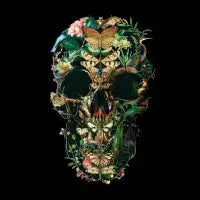 Papillon Skull - design