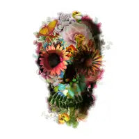 Skull 2 - design