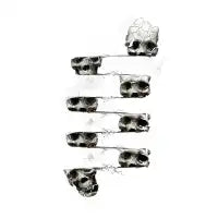 Skull 3 - design