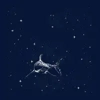 Starry Shark T-Shirt - design
