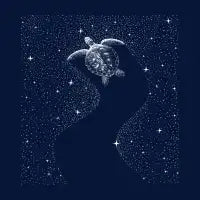 Starry Turtle T-Shirt - design