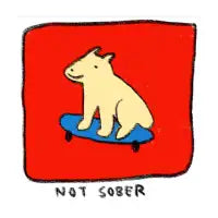 Not Sober - design