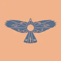 Desert Bird - design