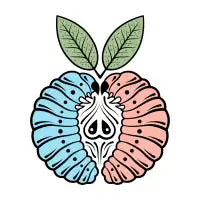 Mutual Core - design