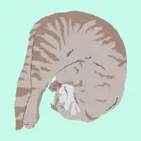 Buff Tiger - design