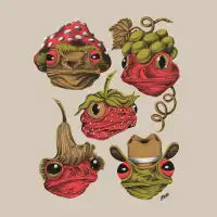 Frogs - design