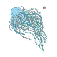 Jellyfish Blue - design