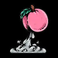Rocket Peach Launch - design