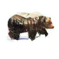 Bear - design