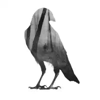 Crow - design