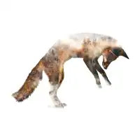 Jumping Fox - design
