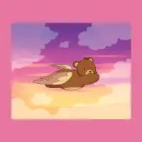 Bear Skies - design