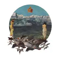 Sensual Migration - design