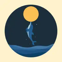 Kiss The Moon - design