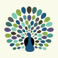 Peacock Time - design