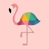 Rainbow Flamingo - design
