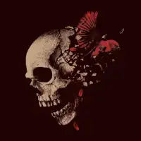 Reborn - design