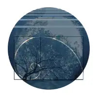 Nature's Composition - design